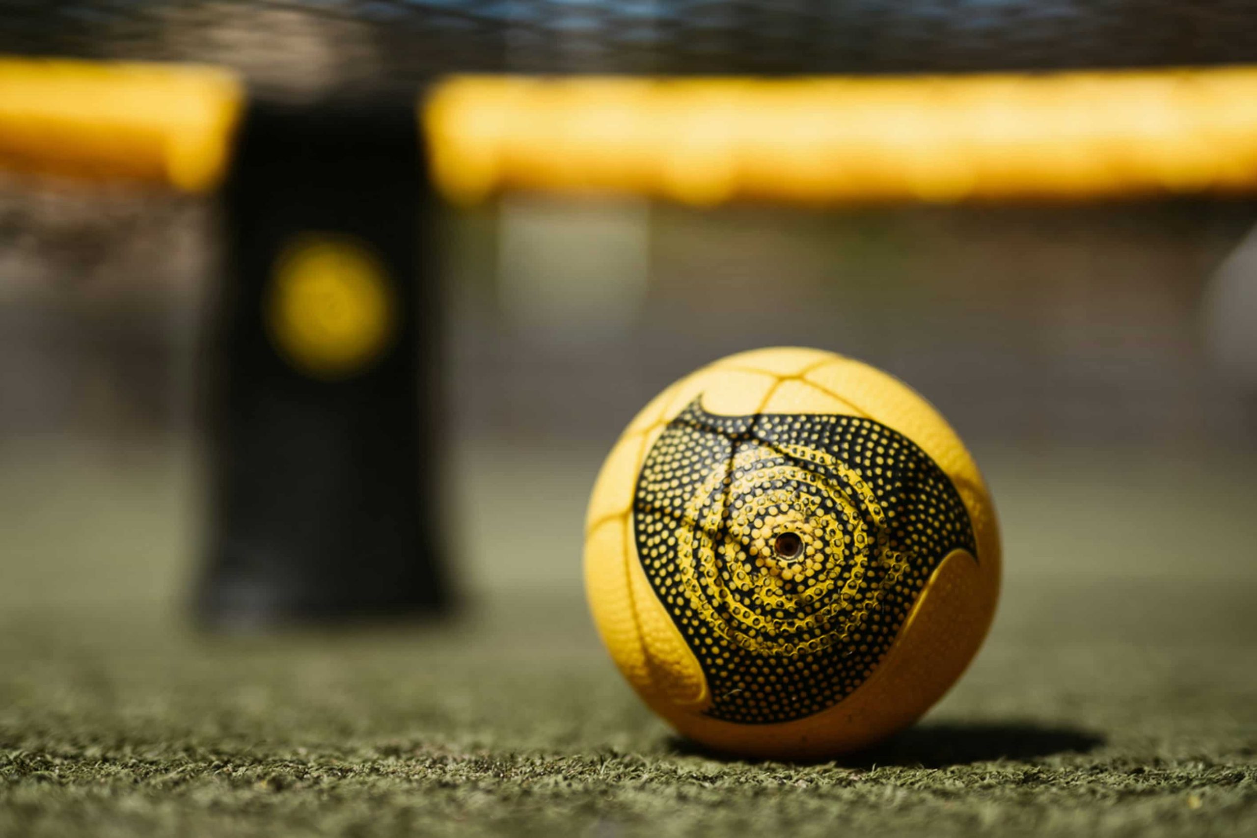 Top 5 Sports for Betting and Why They’re So Popular